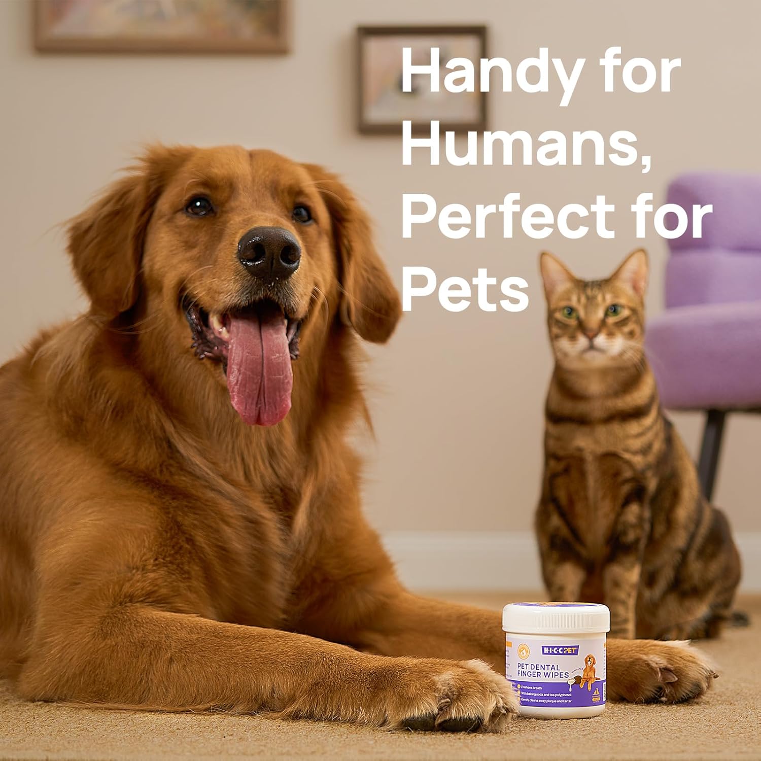 HICC Dog Tooth Cleaning Kit