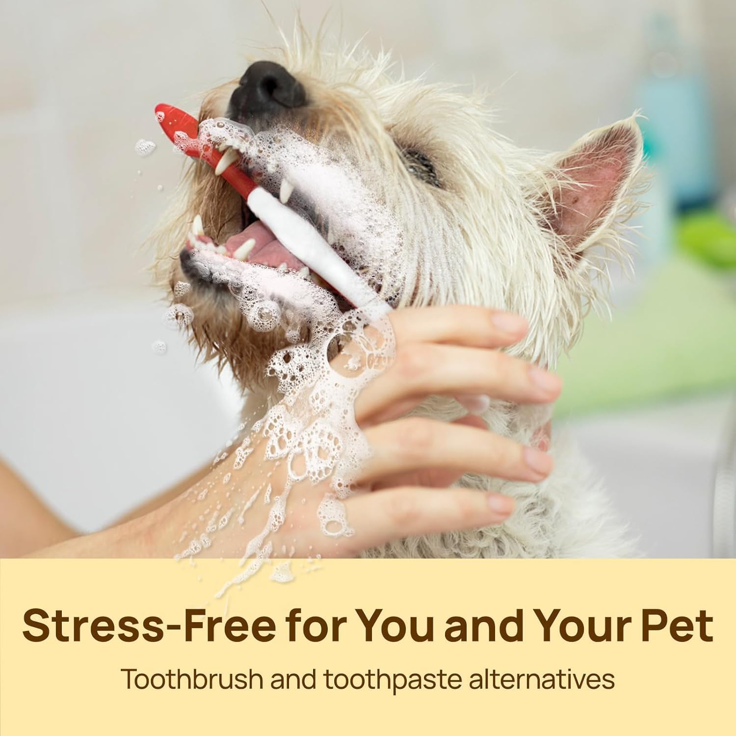 HICC Dog Tooth Cleaning Kit