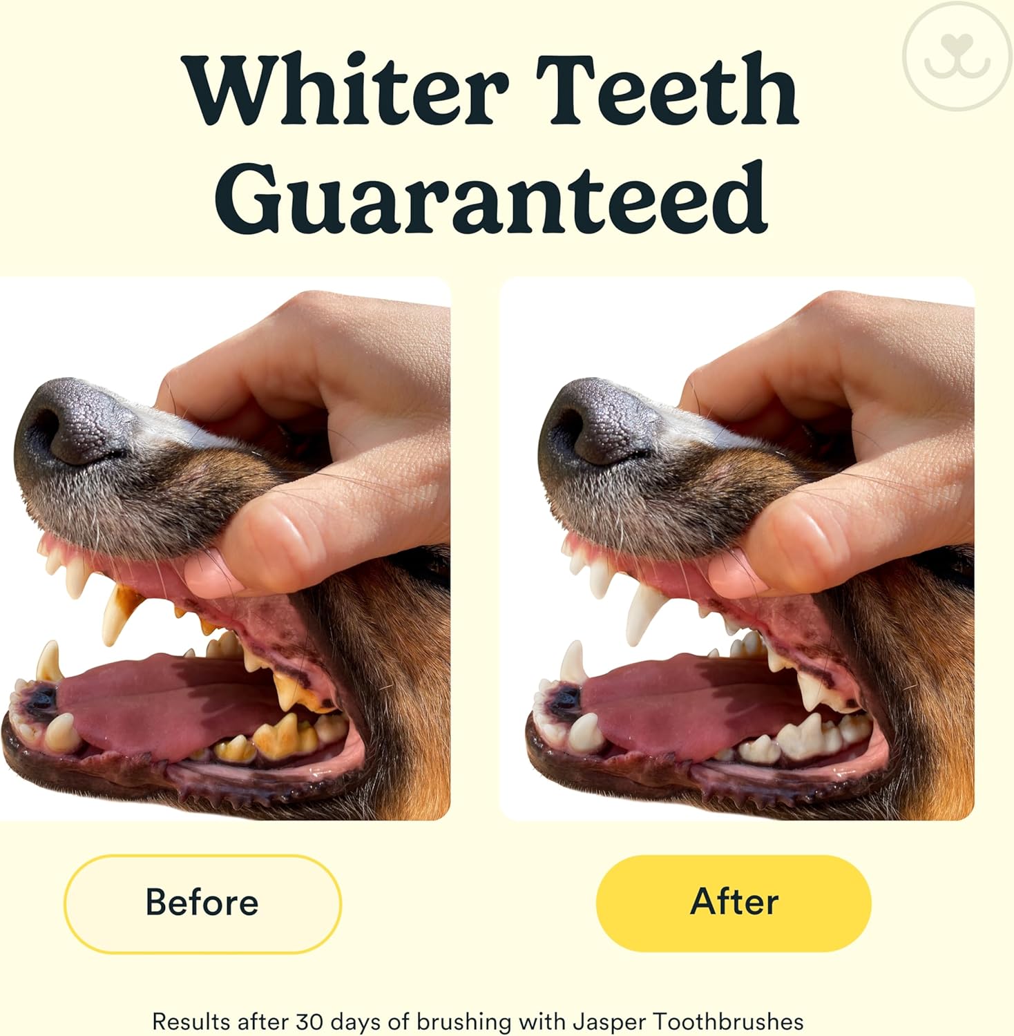 Dog Toothbrush & Finger Brushing Kit