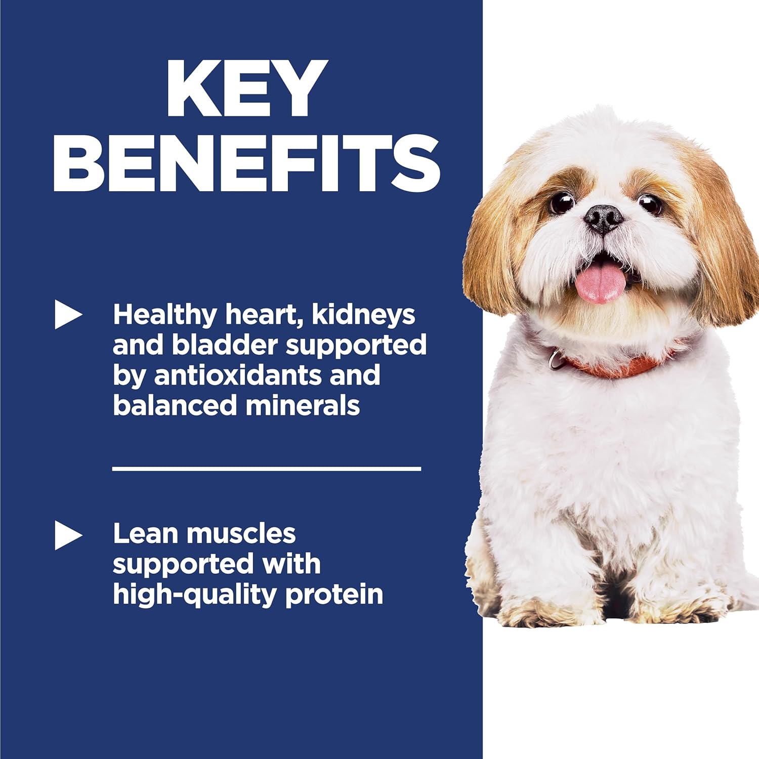 Hill’s Science Diet Chicken & Vegetables Stew – Nutritious Wet Dog Food