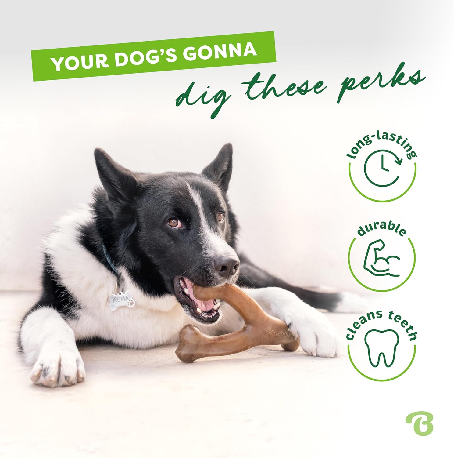 Benebone Wishbone Durable Dog Chew