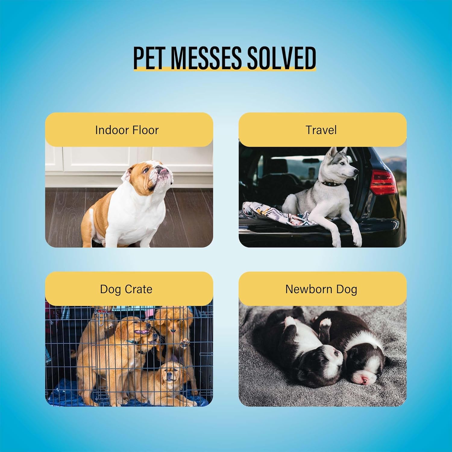 COCOYO Best Value Dog Training Pads – 50 Count