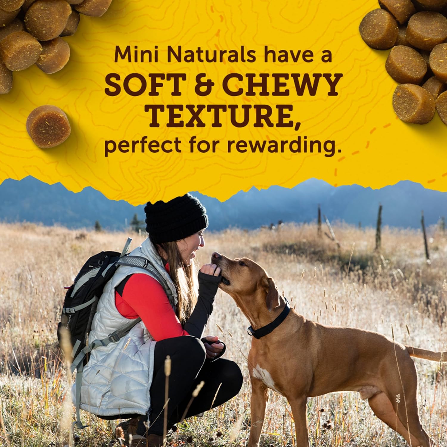 Zuke’s Mini Naturals Chicken Recipe Dog Treats – Tasty Training Rewards