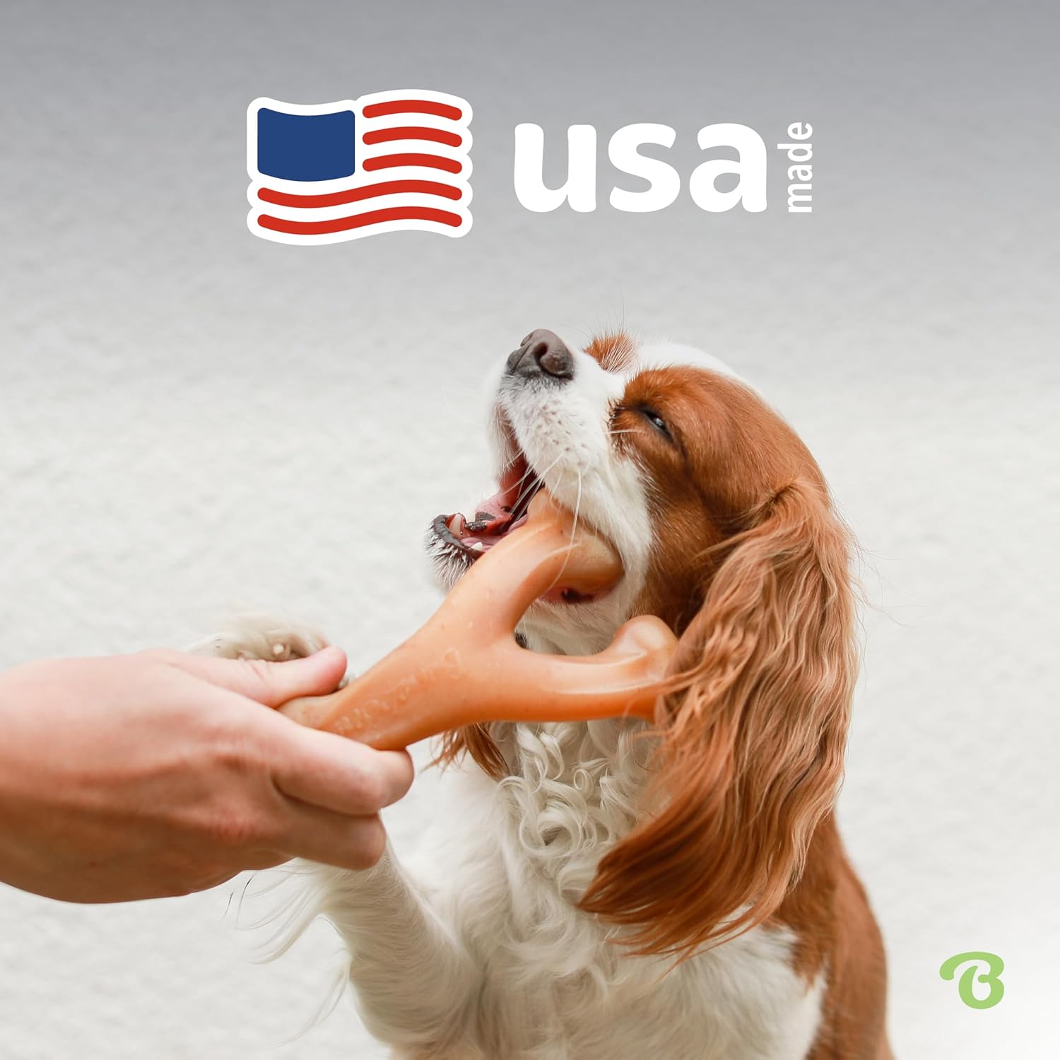 Benebone Wishbone Durable Dog Chew