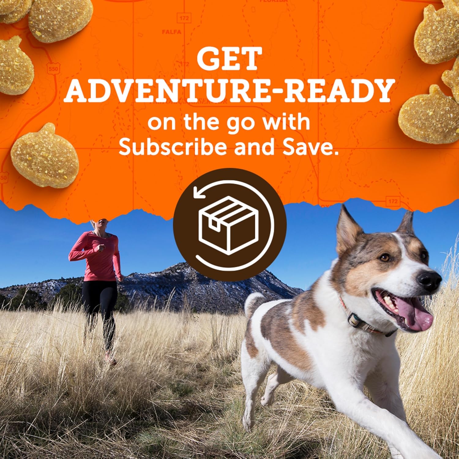 Zuke’s Mini Naturals Chicken Recipe Dog Treats – Tasty Training Rewards