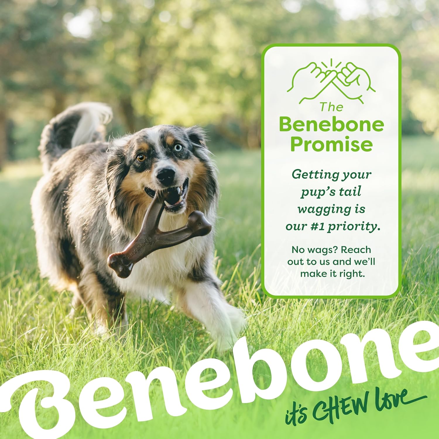 Benebone Wishbone Durable Dog Chew